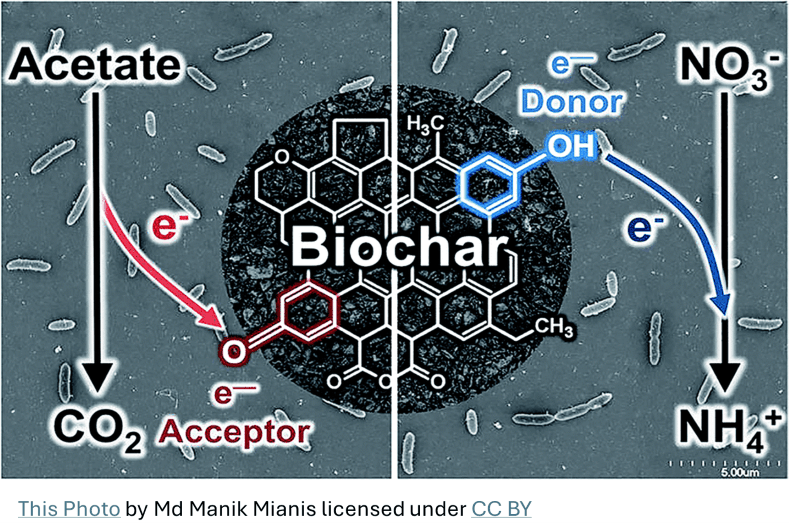 Biocharsitebonding_Sized.png