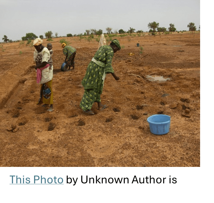 Farmers planting in holes.png