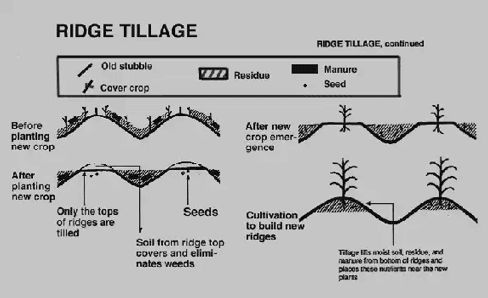 Ridge Tilling.png