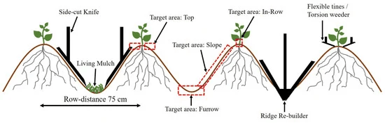 Ridge tilling diagram.png