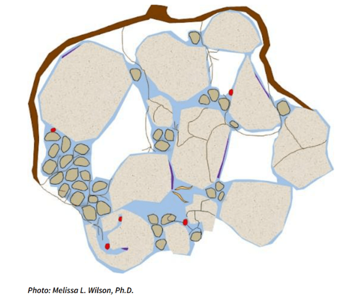 Soil colloids.png