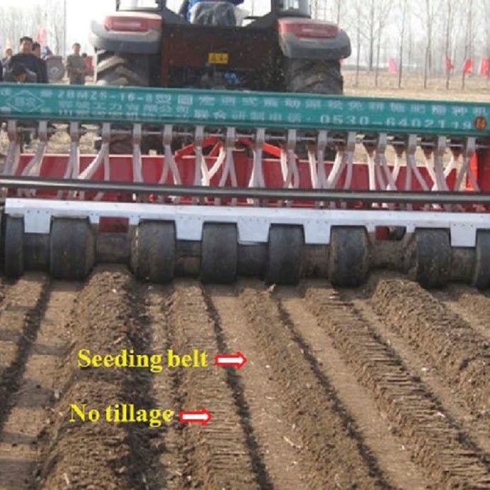 Strip tilling.jpg