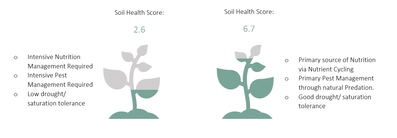 soil-health-graphic.png